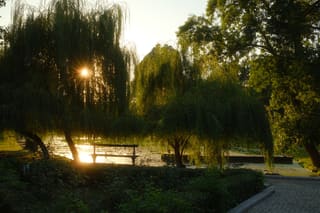 00000000-0000-7e57-b7dc-d26759f1e035.jpg